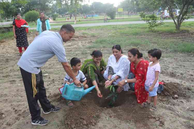 Tree plantation drive on van mahotsav