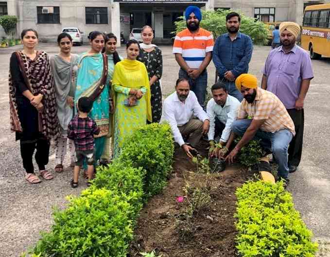 Students planting 250 saplings in Dips College campus