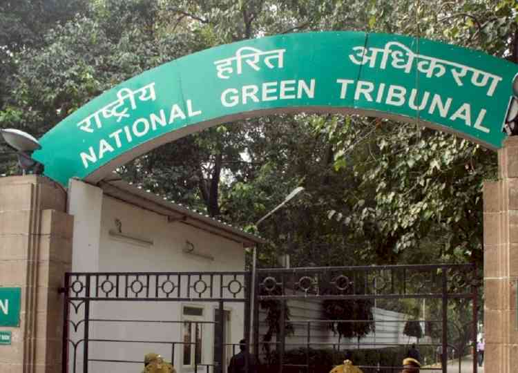 Landfill fire: NGT asks Ludhiana civic body to deposit Rs 100 cr compensation