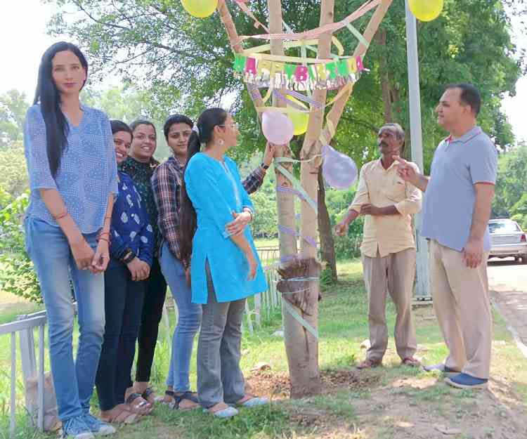 “Amaltas” Tree Birthday Celebrated