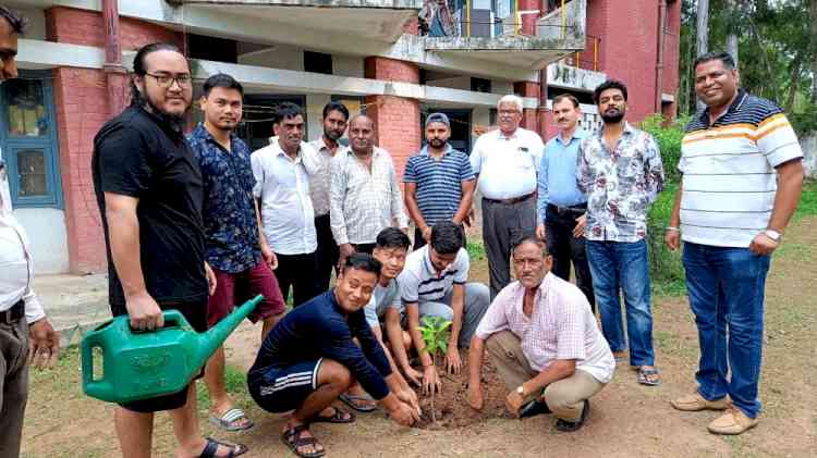 Tree plantation drive organised in Boys’ Hostel no.3