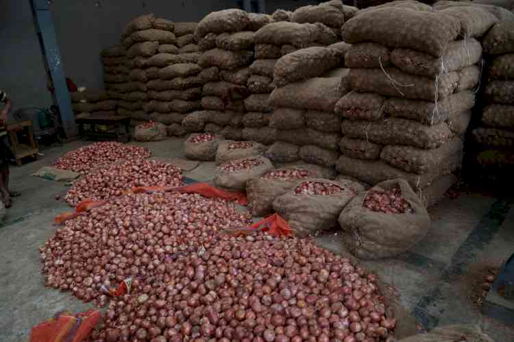 Punjab to set up centre of excellence for onion with Dutch assistance
