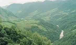 Five bodies of Assam workers located in Arunachal forest after 25 days