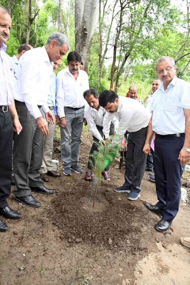 Over 650 plants planted during Van Mahotsav at UHF Nauni