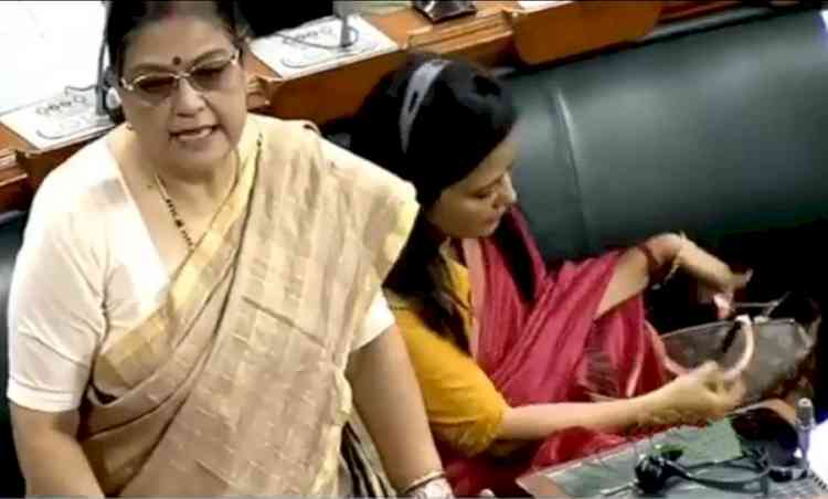 Did Mahua Moitra hide her Louise Vuitton bag in LS?