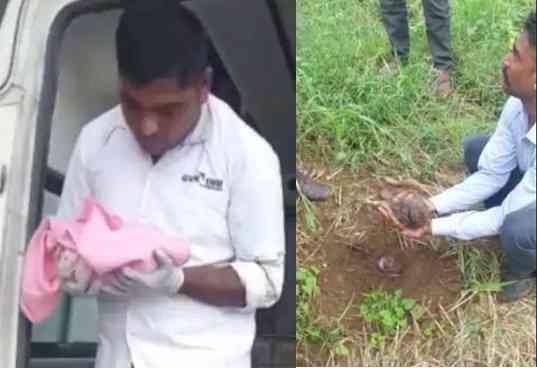 Baby buried alive in Gujarat's Sabarkantha
