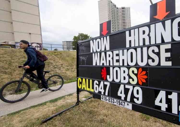 Canada's employment drops in July