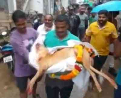 Odisha family performs last rites of pet dog as per Hindu customs