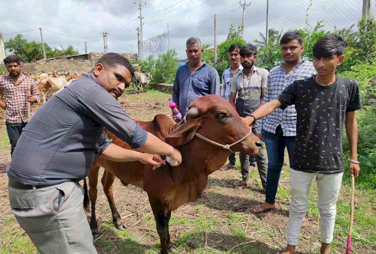 APM Terminals Pipavav initiates Vaccination Drive for livestock in nearby villages