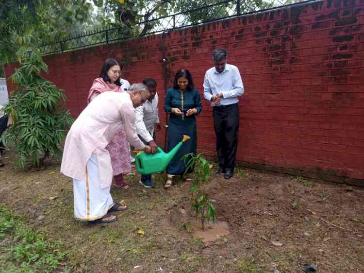 Tree Plantation Drive at PU South Campus