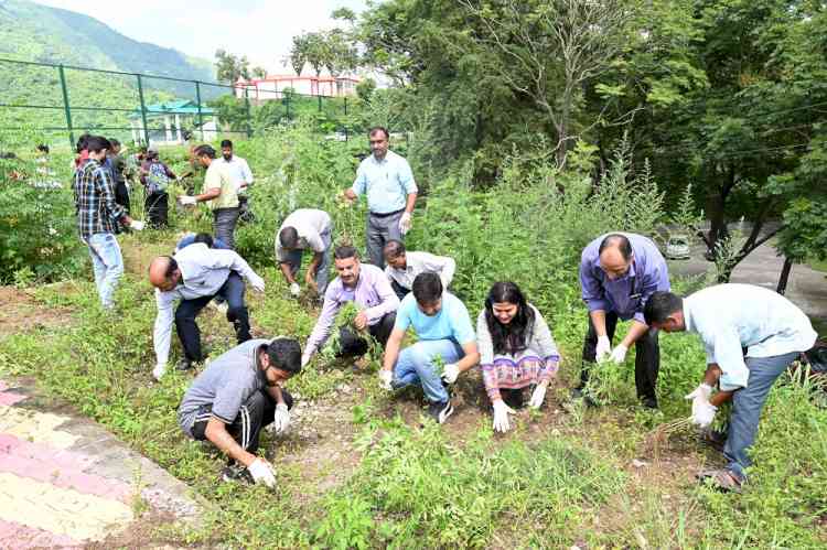 Parthenium eradication campaign at UHF