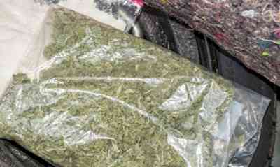 NCB team arrests 4 drug peddlers, recovers 206 kg cannabis