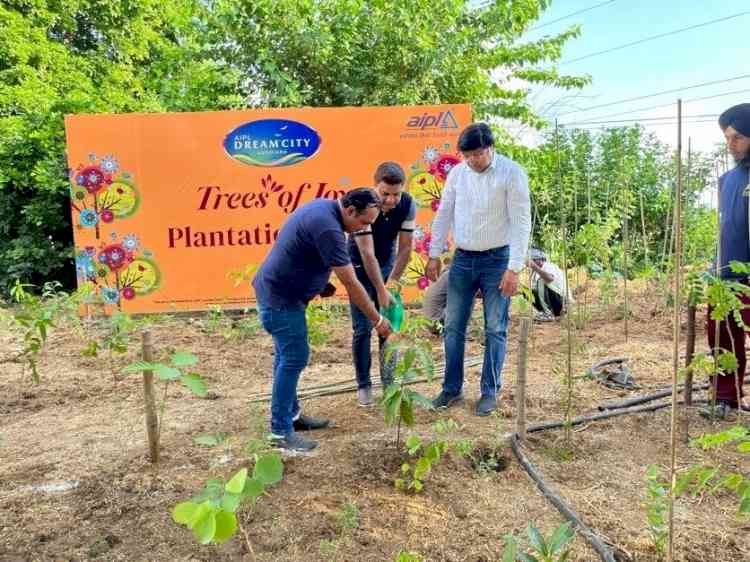 Unique plantation drive `Trees of Joy’, continues at AIPL Dreamcity Ludhiana