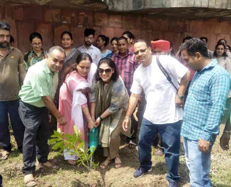 Collaborative Plantation drive undertaken 