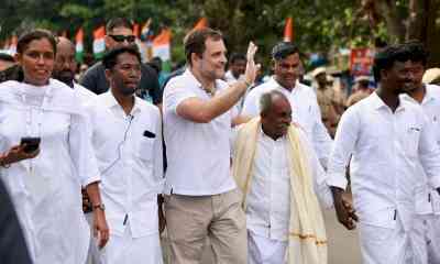 BJP takes dig at Rahul Gandhi over 'Rs 41K' T-shirt