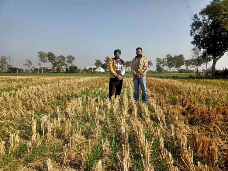 Progressive farmer shows way in stubble management
