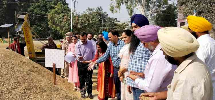 Over 84.48 lakh MT paddy arrive in grain markets of Punjab-ACS Anurag Aggarwal