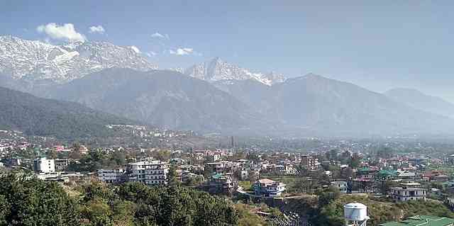 None of national parties rely on Gaddi community candidate after four decades in Dharamsala