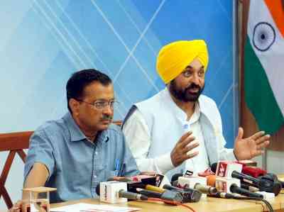 Will make all-out efforts to make paddy straw burning free by next year: Punjab CM