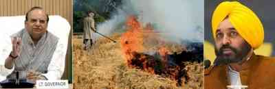 Delhi L-G writes to Punjab CM over stubble burning, asks to take urgent steps