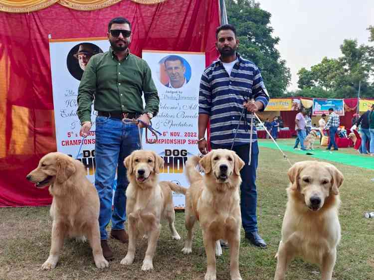 Royal Kennel Club's Mega Dog Show begins in Panchkula