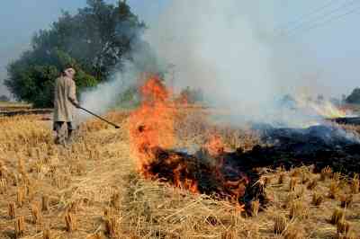 Punjab makes mandatory to use 20% straw as fuel for brick-kilns