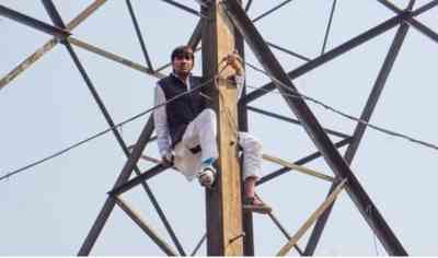 Denied ticket for MCD polls, ex-AAP councillor climbs atop transmission tower