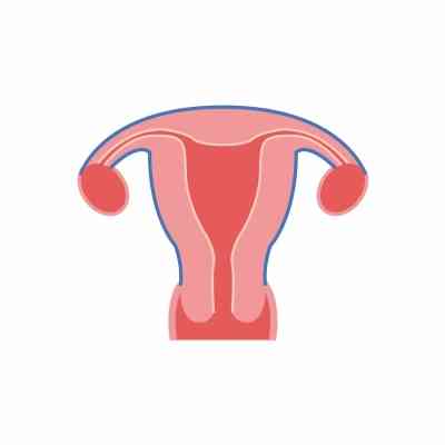 Health experts express concern over growing trend of uterus removal
