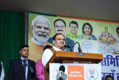 MCD Polls: Nadda launches scathing attack on AAP