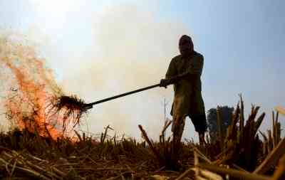 Punjab withdraws orders to mark red entry in land records for stubble burning