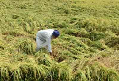 Farmers received Rs 1,25,662 cr so far against premium of Rs 25,186 cr, says Agri Ministry