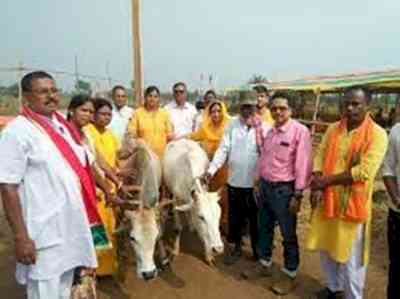 Mumbai doc gives up lucrative practice, dedicates life to cows in Jharkhand