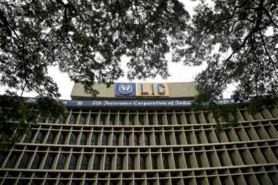 Combination of factors behind LIC share price going up: Experts