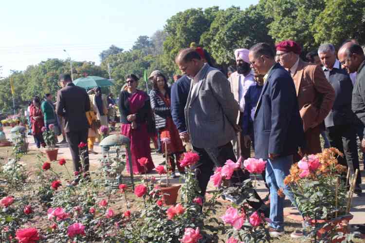 13th Chrysanthemum Exhibition organized by Horticulture Division of Panjab University