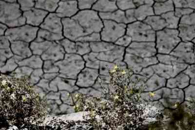 Emergency declared for Southern California amid unprecedented drought
