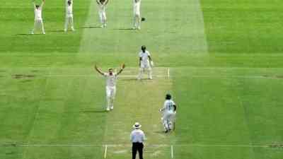 AUS vs SA: Gabba pitch used for first Test receives 'below average' rating