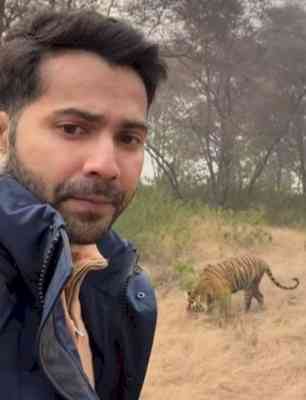 'Bhediya' Varun Dhawan meets tiger in Jaipur