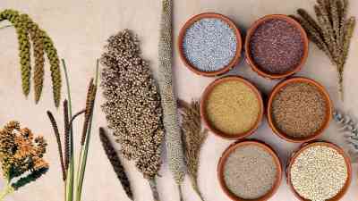 Millet Year begins, 140 Indian embassies to participate in events