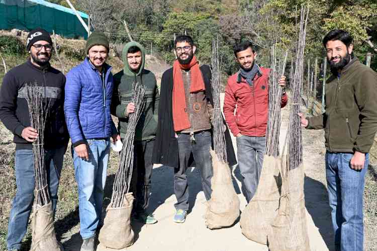 Annual temperate fruit plants sale begins at Nauni and research stations