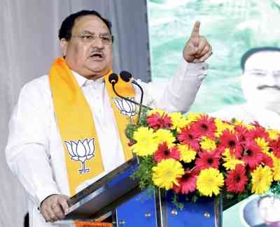 BJP will face polls in K'taka with development report card: Nadda