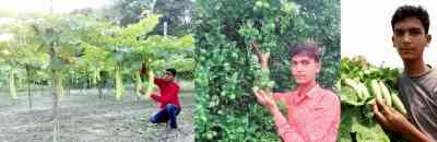 Seedless lemons did it: 21-year-old from Muzaffarpur gets Rashtriya Udyan Ratna