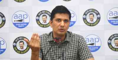 Until L-G clarifies that nominated councillors will not vote, party will continue protest: AAP