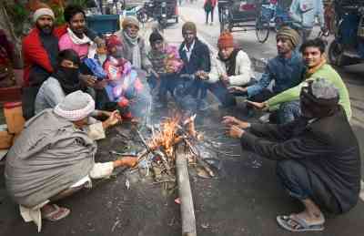 Cold wave conditions likely in northern, central states after Jan 14: IMD