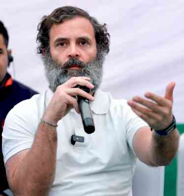 Punjab should not be ruled from Delhi, Rahul Gandhi tells Mann