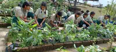 Unique roof garden in Bengal school produces vegetables for mid-day meal