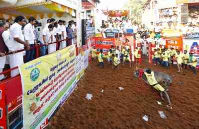 Two killed during bull taming events in TN