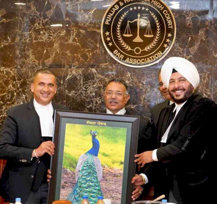 Chief Justice Punjab & Haryana presented pictorial work depicting national bird symbolizing Rangla Punjab