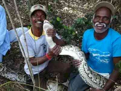 TN's snake catchers Vadivel Gopal, Masi Sadaiyan get Padma Shri