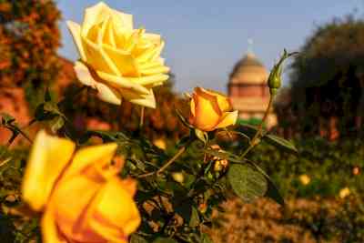 Magnificent Mughal Garden to be known as 'Amrit Udyan'