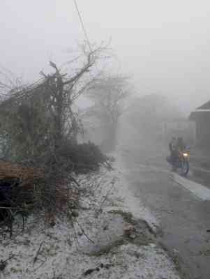 Hailstorm gives Kashmir-look in Raj's Udaipur, Rajsamand; farmers seek compensation